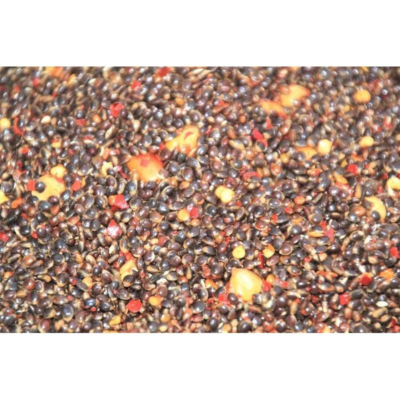 GRAINE PREPAREE NATURAL BAITS 3 GRAINE PREPAREE NATURAL BAITS