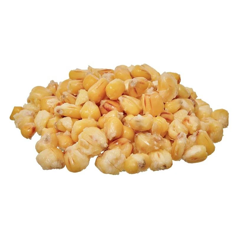 GRAINE PRÉPARÉE STARBAITS READY SEEDS CORN 4 GRAINE PRÉPARÉE STARBAITS READY SEEDS CORN – Image 2