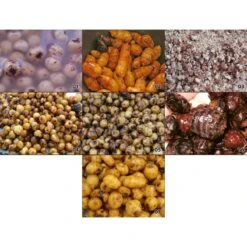 GRAINE SECHE NATURAL BAITS TIGERNUTS