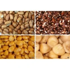 GRAINE SECHE NATURAL BAITS