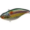 LEURRE COULANT SPRO ARUKU SHAD 60 - 6CM 1 LEURRE COULANT SPRO ARUKU SHAD 60 - 6CM -Magasin De Pêche De Qualité leurre coulant spro aruku shad 60 6cm z 2597 259723