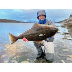 LEURRE COULANT STUCKI FISHING FANATICS LUCKY BEGGAR 85S - 8.5CM -Magasin De Pêche De Qualité leurre coulant stucki fishing fanatics lucky beggar 85s 85cm z 2739 273972 3