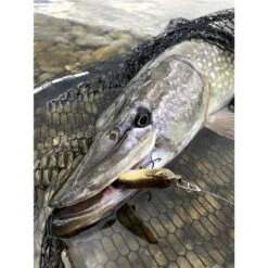 LEURRE COULANT STUCKI FISHING FANATICS LUCKY BEGGAR 85S - 8.5CM -Magasin De Pêche De Qualité leurre coulant stucki fishing fanatics lucky beggar 85s 85cm z 2739 273972 4