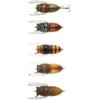 LEURRE DE SURFACE TIEMCO TINY CICADA TT - 3.5CM 2 LEURRE DE SURFACE TIEMCO TINY CICADA TT - 3.5CM -Magasin De Pêche De Qualité leurre de surface tiemco tiny cicada tt 35cm z 1273 127306