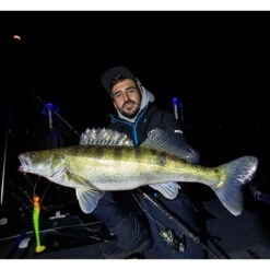 LEURRE SOUPLE MONKEY LURES KING LUI - 10CM - PAR 5 11 LEURRE SOUPLE MONKEY LURES KING LUI - 10CM - PAR 5 -Magasin De Pêche De Qualité leurre souple monkey lures king lui 10cm par 5 z 2449 244935 3