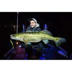 LEURRE SOUPLE MONKEY LURES KING LUI - 10CM - PAR 5 14 LEURRE SOUPLE MONKEY LURES KING LUI - 10CM - PAR 5 -Magasin De Pêche De Qualité leurre souple monkey lures king lui 10cm par 5 z 2449 244935 6