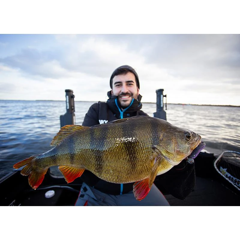 LEURRE SOUPLE MONKEY LURES KING LUI - 10CM - PAR 5 9 LEURRE SOUPLE MONKEY LURES KING LUI - 10CM - PAR 5 – Image 7