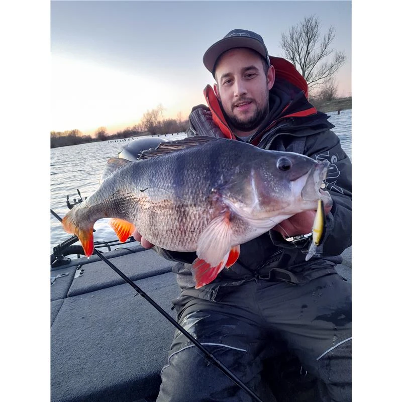 LEURRE SUSPENDING STUCKI FISHING FANATICS FREAKY - 6CM 5 LEURRE SUSPENDING STUCKI FISHING FANATICS FREAKY - 6CM – Image 3