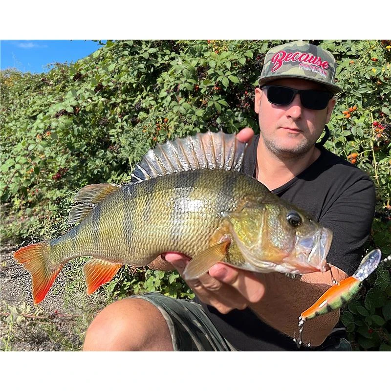 LEURRE SUSPENDING STUCKI FISHING FANATICS FREAKY - 6CM 6 LEURRE SUSPENDING STUCKI FISHING FANATICS FREAKY - 6CM – Image 4