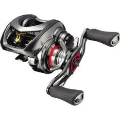 MOULINET CASTING DAIWA STEEZ CT SV TW