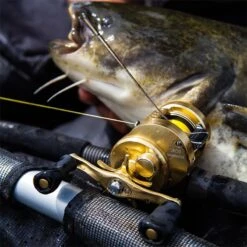 MOULINET CASTING SHIMANO CALCUTTA CONQUEST 9 MOULINET CASTING SHIMANO CALCUTTA CONQUEST -Magasin De Pêche De Qualité moulinet casting shimano calcutta conquest z 1492 149266 4