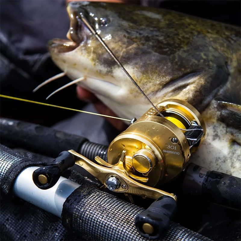 MOULINET CASTING SHIMANO CALCUTTA CONQUEST 6 MOULINET CASTING SHIMANO CALCUTTA CONQUEST – Image 4