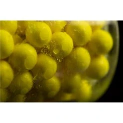 SPRAY STICKY BAITS PINEAPPLE & N BUTYRIC BAIT SPRAY 8 SPRAY STICKY BAITS PINEAPPLE & N BUTYRIC BAIT SPRAY -Magasin De Pêche De Qualité spray sticky baits pineapple n butyric bait z 2666 266674 3