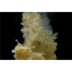 STICK MIX STICKY BAITS MANILLA ACTIVE MIX -Magasin De Pêche De Qualité stick mix sticky baits manilla active z 2666 266642 3